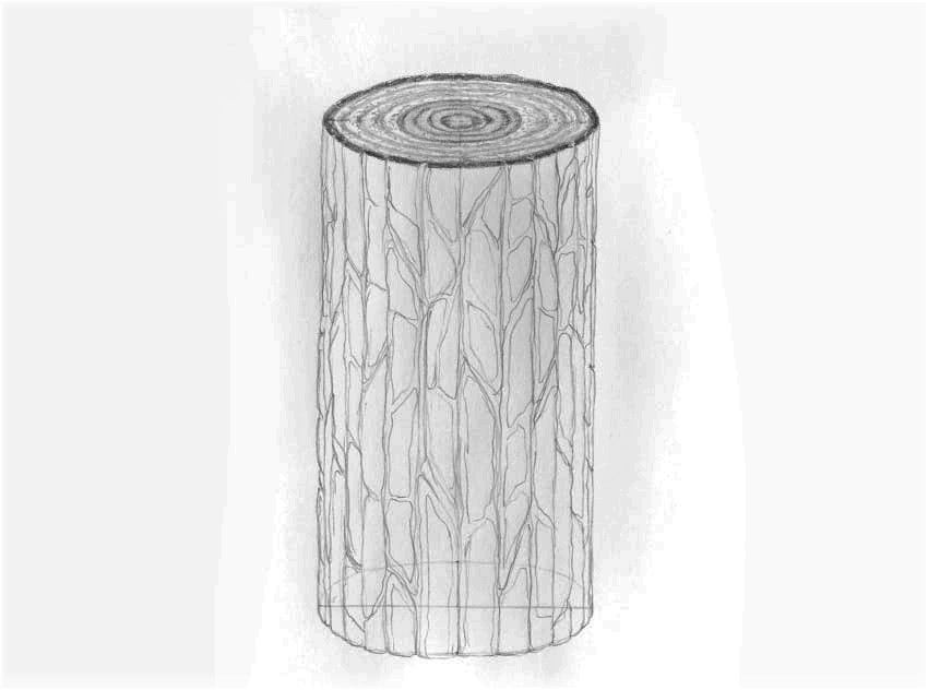 como desenhar casca de árvore 3d